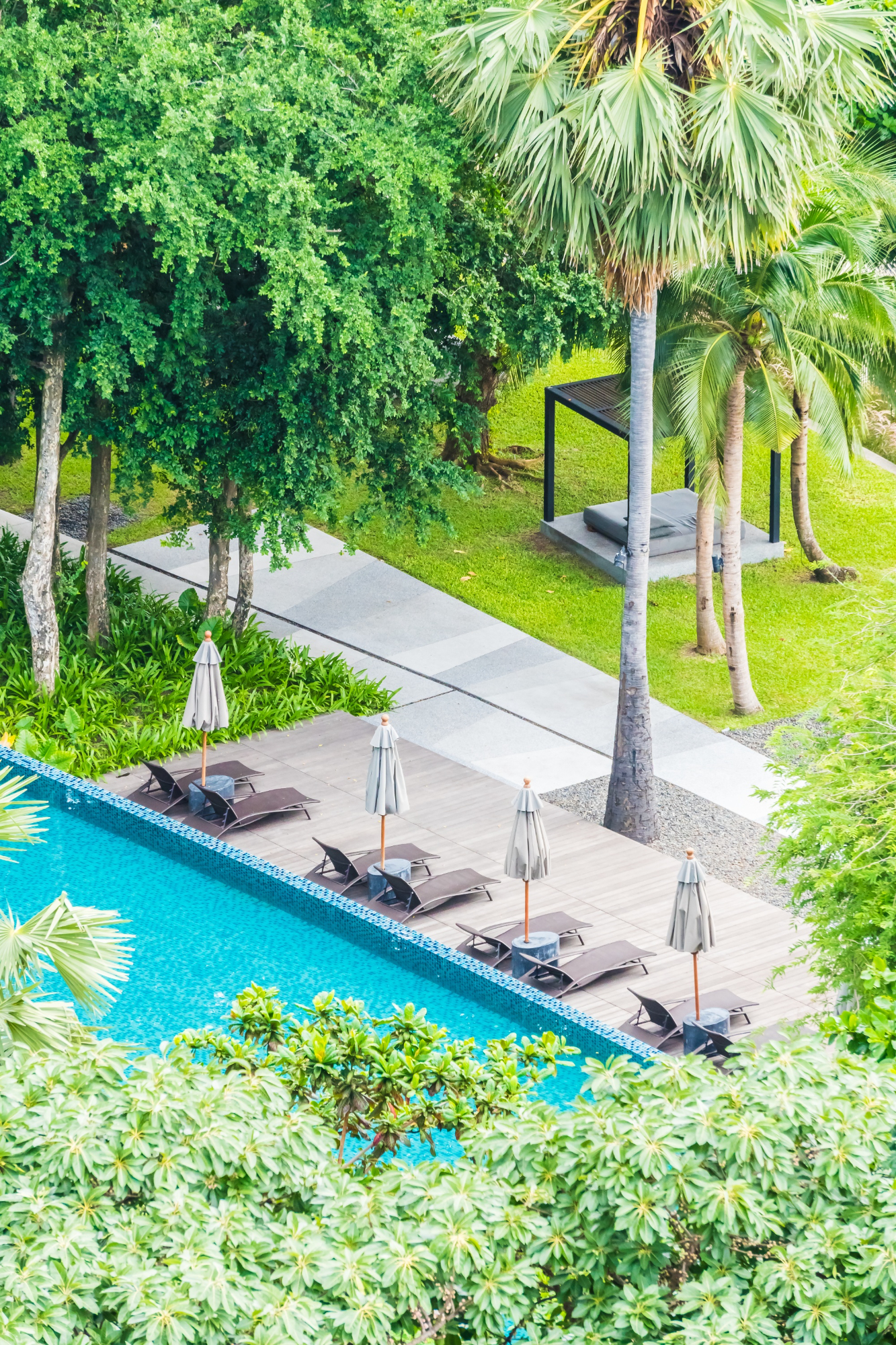 Lounge chairs and umbrellas line a poolside area surrounded by trees.