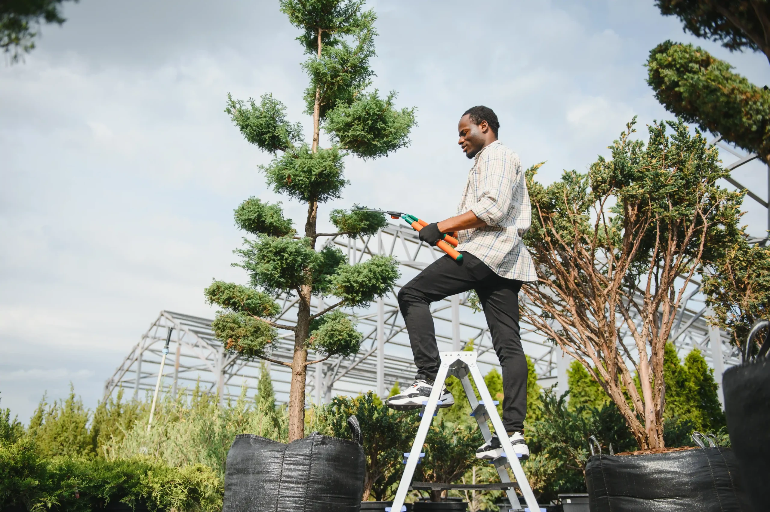 a-african-american-young-gardener-cuts-a-tree-with